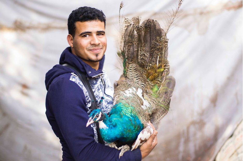 سوق الجمعة .. من تجارة الخردة إلى حديقة الحيوانات الشعبية سوق الجمعة