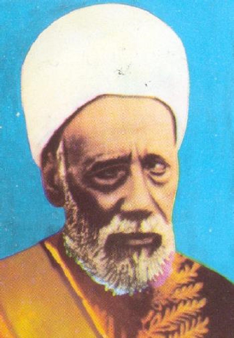الشيخ أبو الفضل الجيزاوي