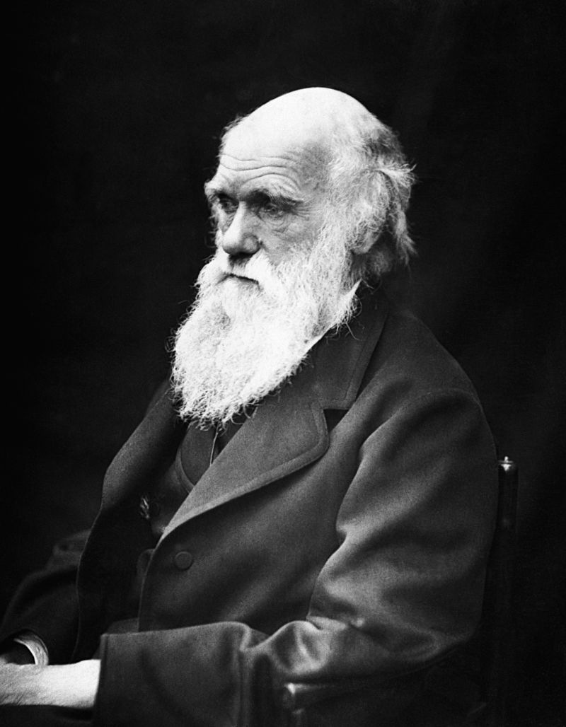 داروين