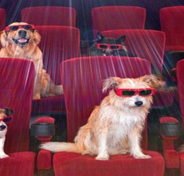 كلاب السينما