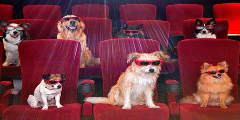 كلاب السينما