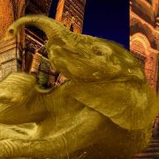 فيل القاهرة الفاطمية - تعبيرية