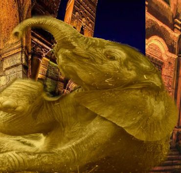 فيل القاهرة الفاطمية - تعبيرية