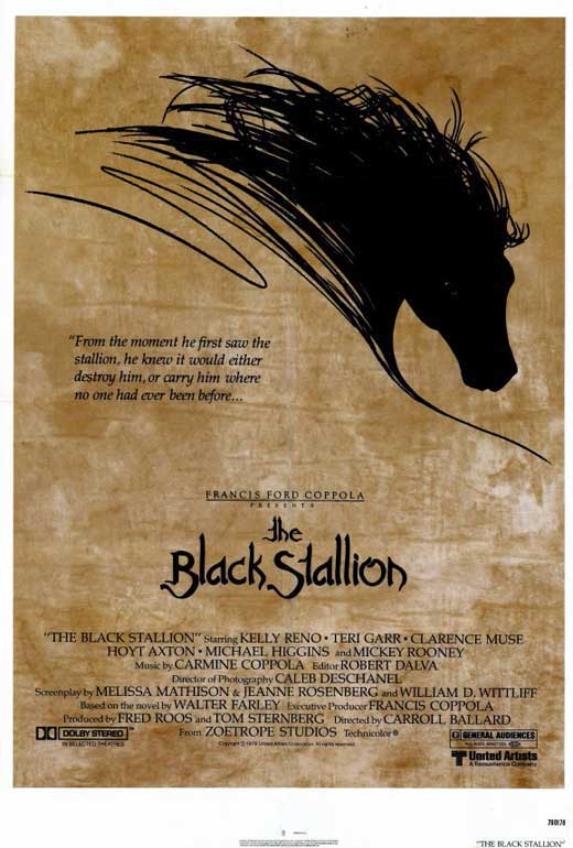 أفيش فيلم The black stallion