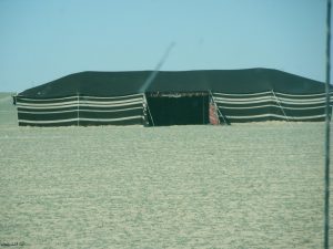 الخيمة البدوية بيت الشعر كما يعرفه أهل الصحراء