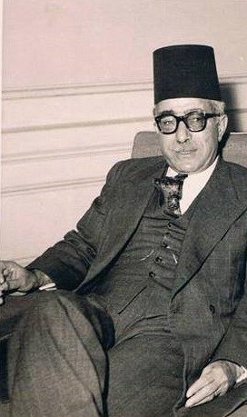 محمد حسين هيكل