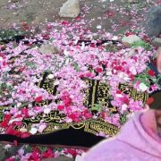 عبدالله رشدي وقبر والدة النبي