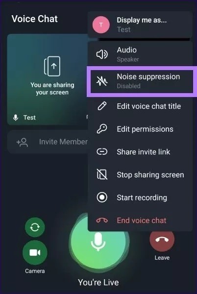 telegram video chat