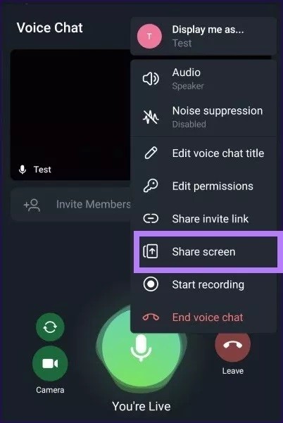 telegram video chat