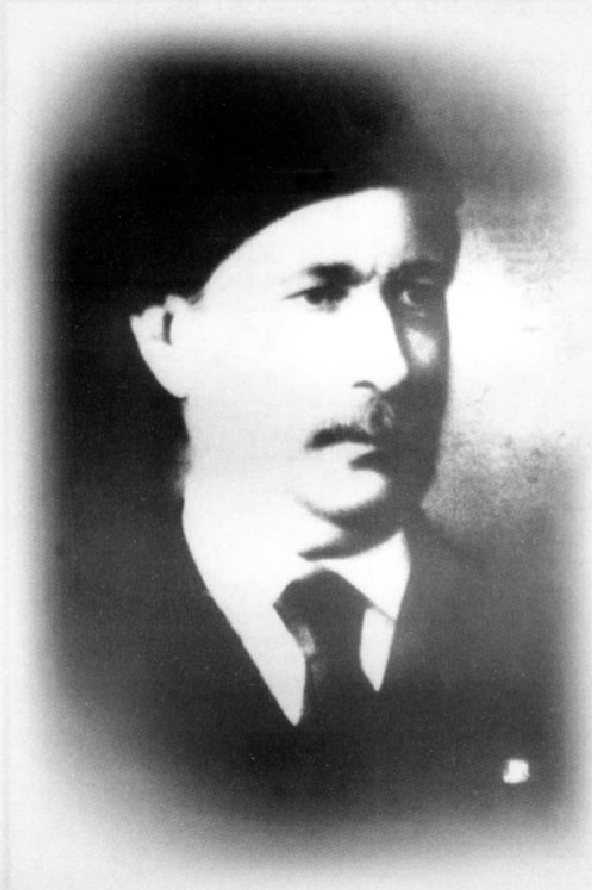 محمد زكي باشا