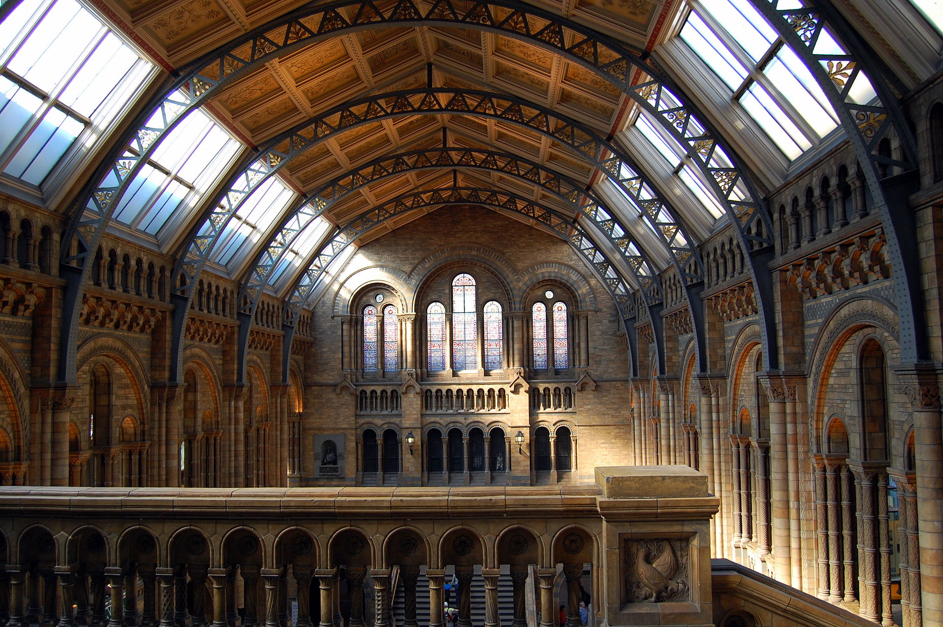 القاعة المركزية من متحف التاريخ الطبيعي في لندن