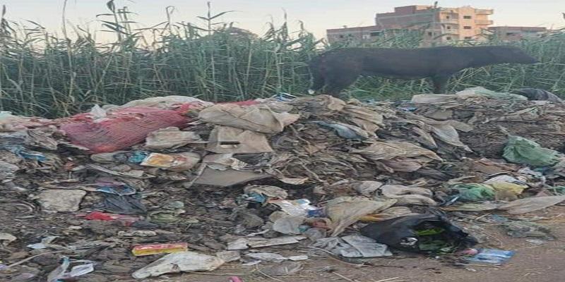القمامة في قرية ابشواي