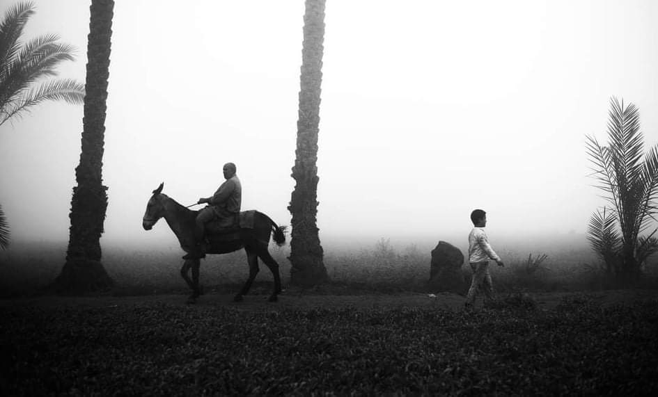 صورة الصباخ في الريف بعدسة زاد محمد 