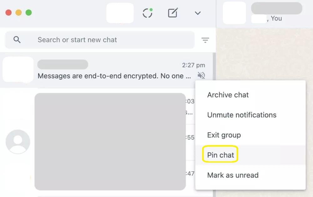 Pin chats in whatsapp
