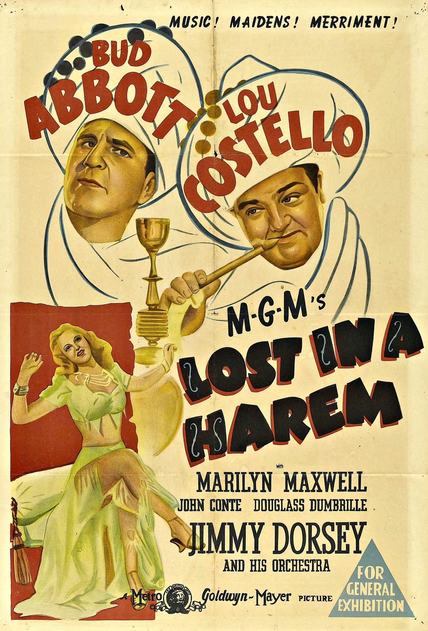 فيلم Lost In A Harem اسمه بالترجمة الحرفية «ضائع في الحريم» وتُرْجِم تجاريًا بـ {فَقْد في الحريم}