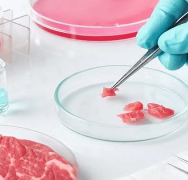 اللحوم المختبرية