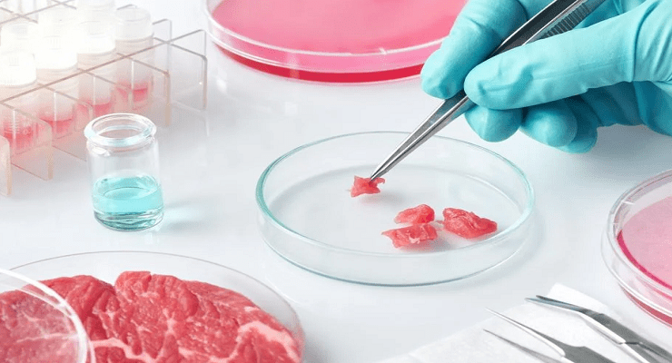 اللحوم المختبرية