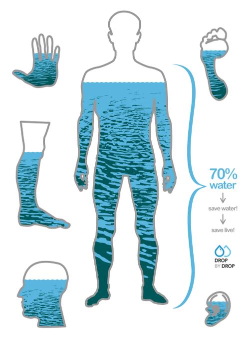 نسبة الماء في جسم الإنسان