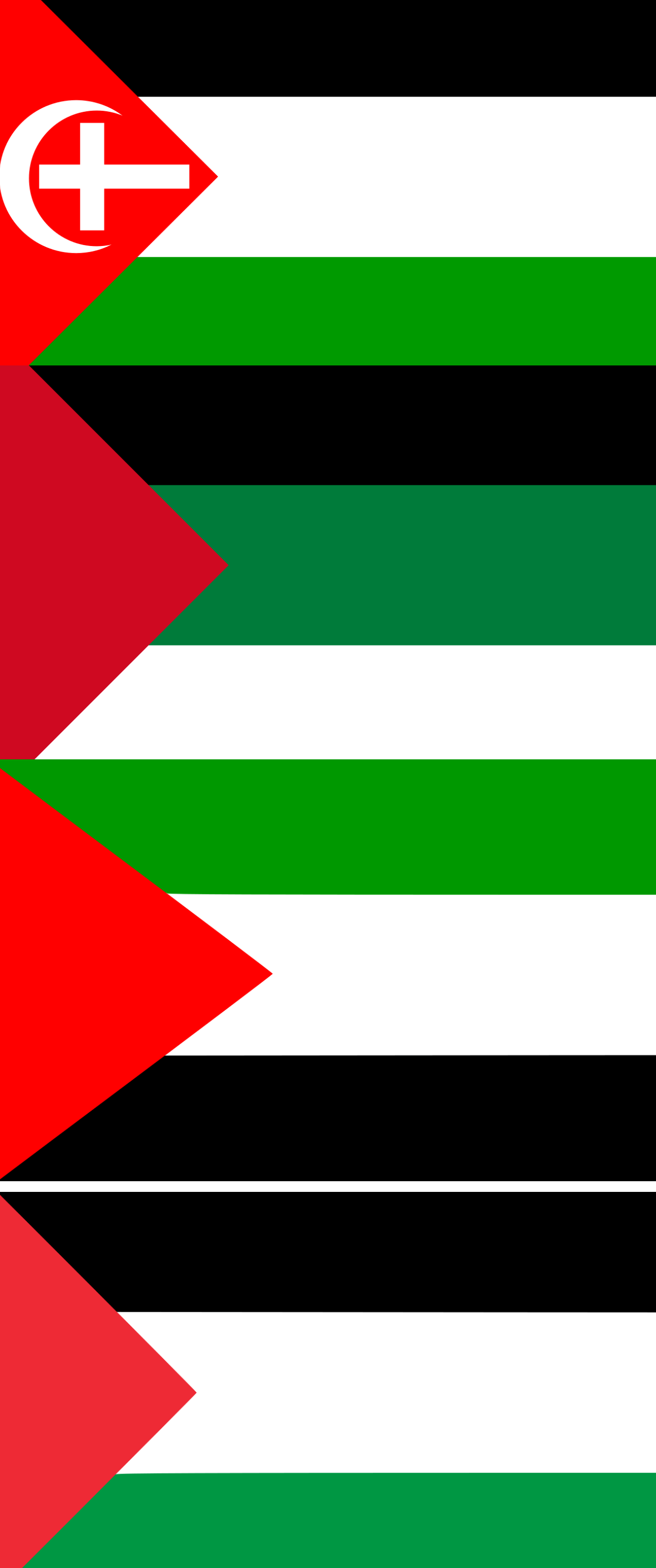 تطور شكل العلم الفلسطيني من قبل قيام الكيان الصهيوني حتى الآن