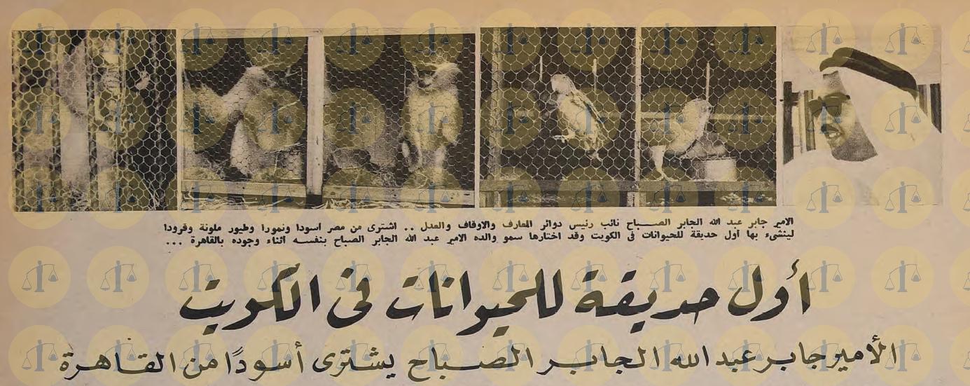 خبر المساهمة المصرية في حديقة حيوان الكويت